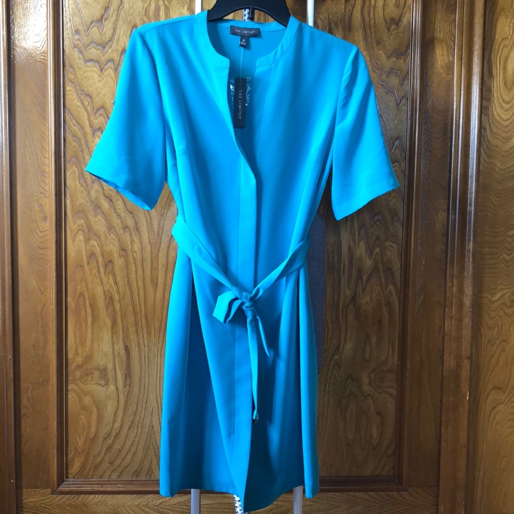 NWT THE LIMITED Shortsleeved Shirt Dress 4P